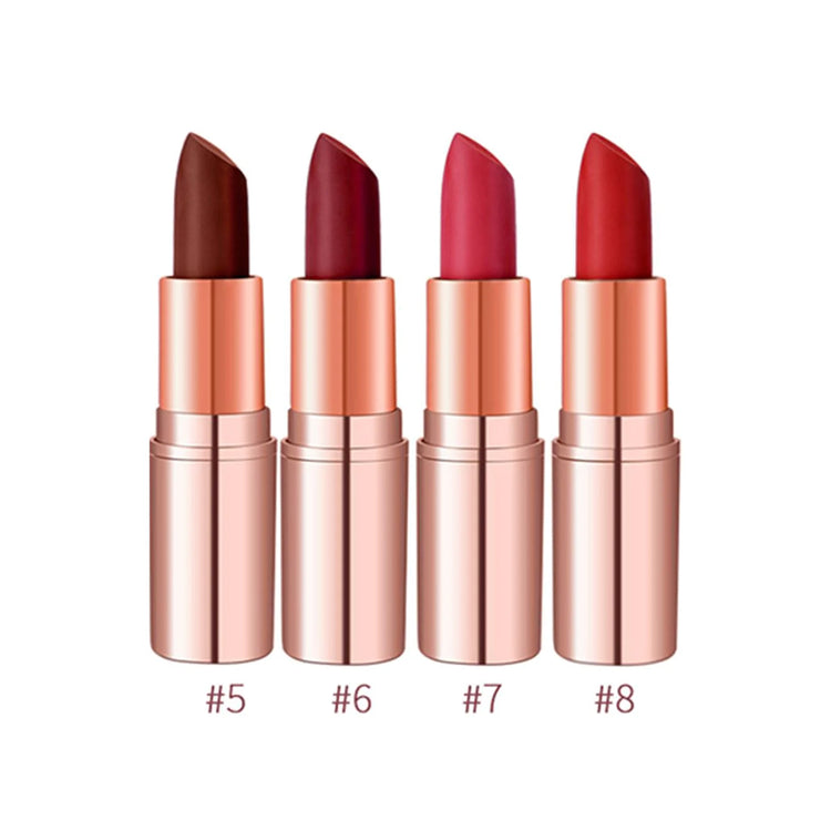 4 PIECE BULLET LIPSTICK SET
