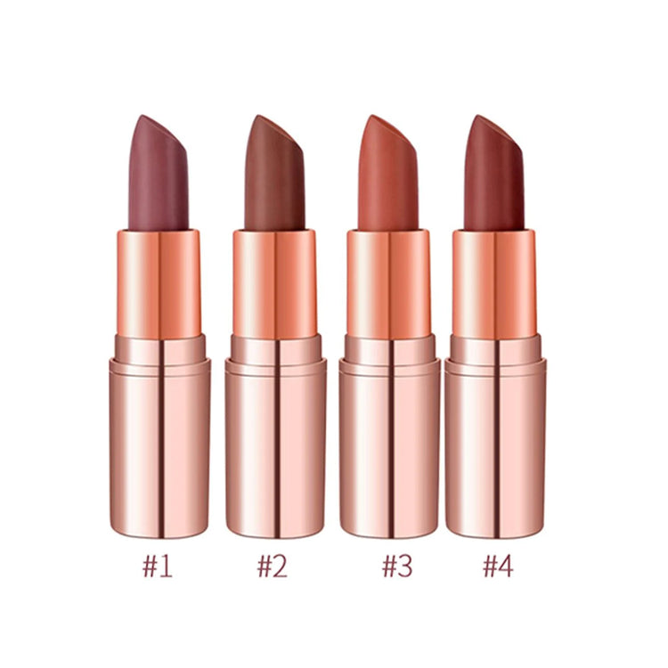 4 PIECE BULLET LIPSTICK SET